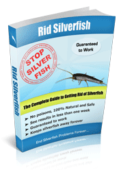 silverfish elimination